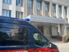 В Рассвете Тульской области бездомная собака напугала детей