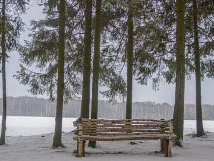 В Туле 27 февраля температура воздуха поднимется до +2 градусов