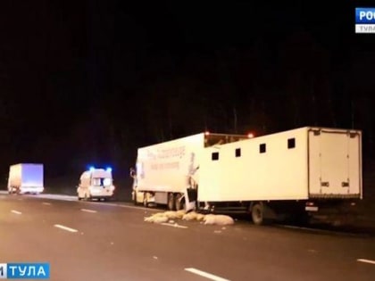 В ДТП погиб водитель грузовика, врезавшийся в фуру со свиньями