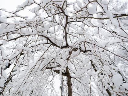 Синоптики спрогнозировали погоду в феврале в Тульской области