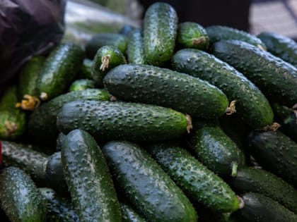Рост цен на продукты в Тульской области