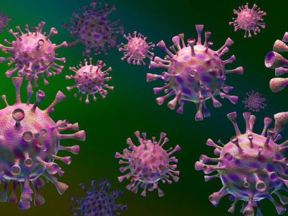 Россиян предупредили о риске заражения вирусом Зика при поездках за границу