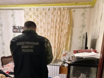 В Богородицке возбуждено уголовное дело по факту убийства девушки