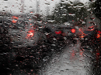 Дождь, снег и пасмурная погода ожидаются в Тульской области 30 октября