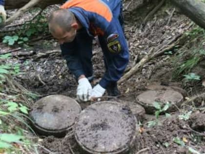 Тульское МЧС: Осенью вероятность обнаружения взрывоопасных предметов времен Великой Отечественной войны возрастает