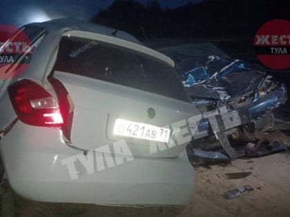 Под Тулой автомобиль сбил лося и вылетел на встречную полосу: есть погибшие