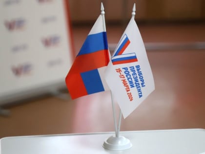 К полудню 17 марта проголосовали 64,75% избирателей Тульской области