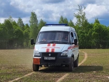 В Плавске обезвредили мину времен Великой Отечественной войны