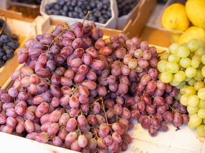 Эксперты рассказали кому можно и нельзя виноград