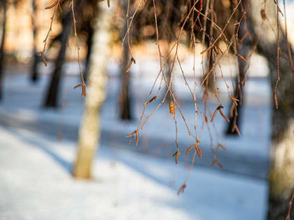 7 января в Тульской области будет малооблачно