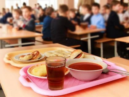 Тульский Роспотребнадзор проведет горячую линию по вопросам школьного питания