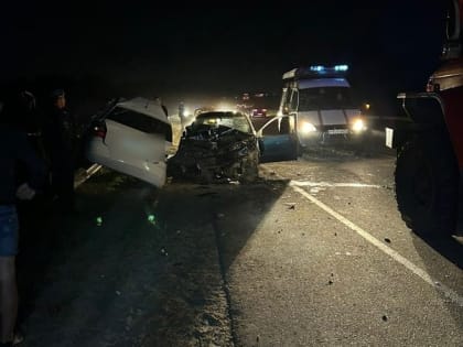 В вечернем ДТП под Тулой с лосем погибли два человека