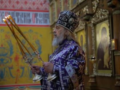 Митрополит Тульский и Ефремовский Алексий вознес молитву о мире в Украине