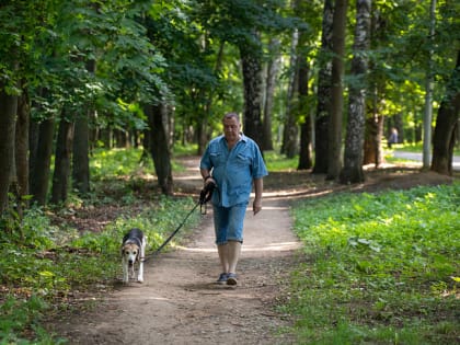 От повышения температуры до летального исхода: ветеринар рассказал, какие животные сильнее страдают от жары, о симптомах и первой помощи при перегреве