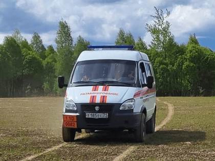 Спасатели обезвредили патроны и взрыватели времен ВОВ, найденные в Тульской области