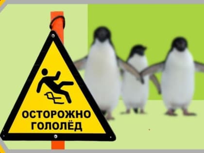 Передвигайтесь, как пингвины: тульский Роспотребнадзор дал советы, как избежать травм