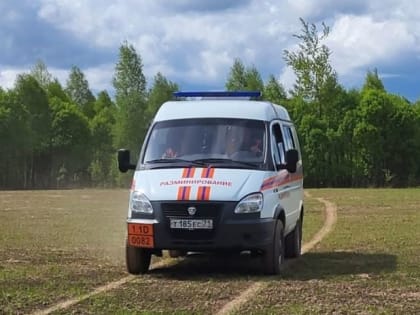 В Арсеньевском районе обезвредили мину