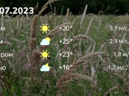 Отличная погода — залог отличной недели: гороскоп и прогноз на 17 июля