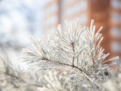 Крещение в 2023 году может стать самым теплым в 21-м веке