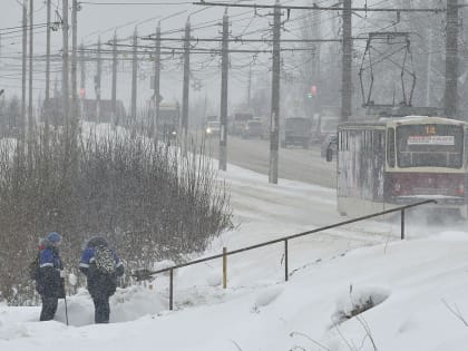 Прогноз погоды в Туле на 24 февраля