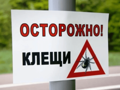 В Тульской области выявлены четыре случая заражения болезнью Лайма