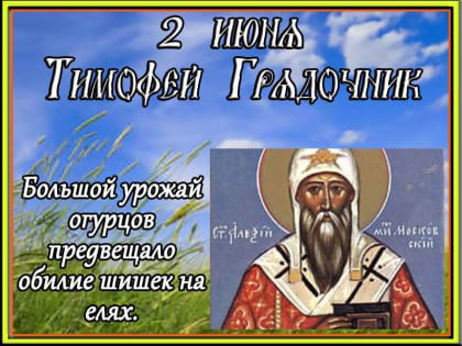 Тимофей Грядочник