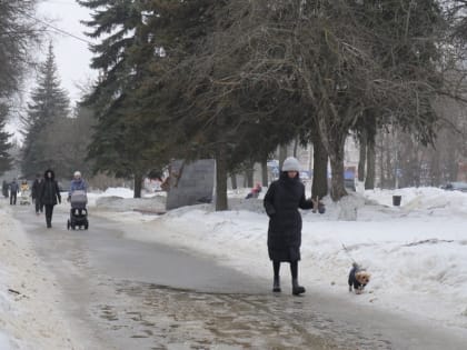 Метеопредупреждение: в Новомосковске ожидается усиление ветра до 17 м/с