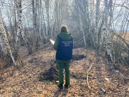 Житель Богородицка убил пятилетнего сына сожительницы и закопал его тело в лесу