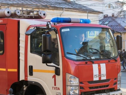 17 пожаров произошло в Тульской области за последнюю неделю апреля