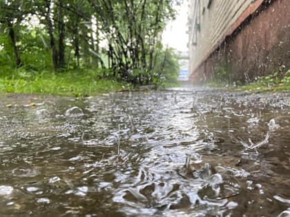 В субботу в Тульской области будет ветрено и дождливо
