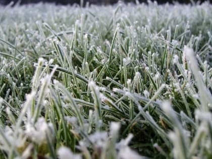 В ночь на 8 мая в Тульской области ожидается похолодание до -5 градусов