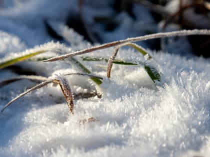 Температура воздуха в Тульской области опустится до -20 градусов