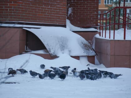 Циклоническая воронка принесет похолодание в Центральную Россию