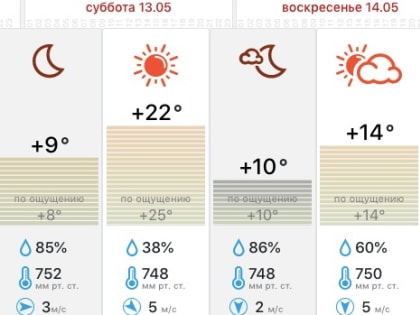 Синоптики обещают тулякам теплую июньскую погоду на выходных