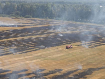 В Тульском регионе предложили ввести особый противопожарный режим