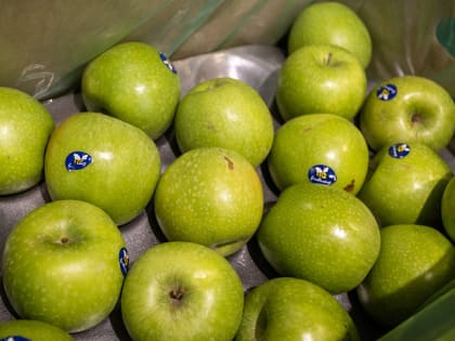 Роскачество развеяло семь мифов о похудении