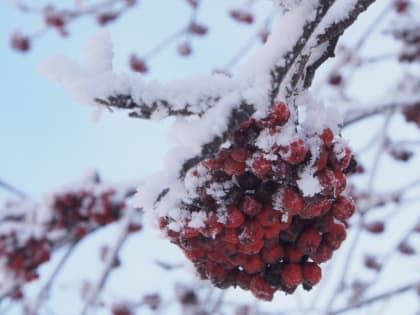 Прогноз погоды в Туле на 5 января