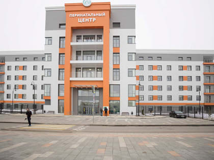 В Тульской области совершенствуют медицинскую помощь беременным женщинам и детям