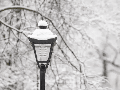 Снежно, ветрено и до -9 градусов: какая погода ждет туляков 14 февраля