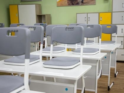 В Тульской области из-за вспышки ОРВИ частично приостановлен учебный процесс в некоторых школах и детсадах