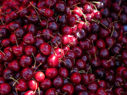Изменение стула и набор веса. Почему следует ограничить употребление черешни 300 граммами в сутки