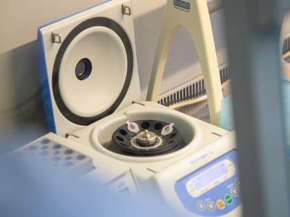 Глава Роспотребнадзора заявила, что риск распространения холеры в России минимален