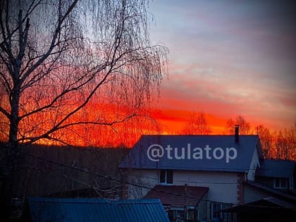 Под Тулой пожарные потушили траву в Хомяково и деревне Скобелево