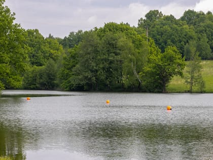Опубликован список безопасных пляжей в Тульской области после проверки Роспотребнадзора