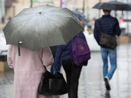 В последний день весны в Тульской области пойдет дождь