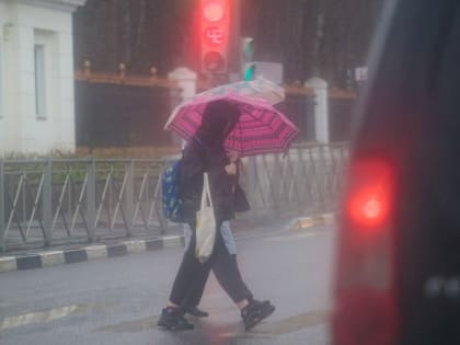 До утра 28 июля в Тульской области местами будет сильный дождь