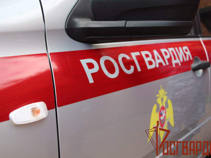 В Туле росгвардейцы не дали двум злоумышленникам украсть рельсы