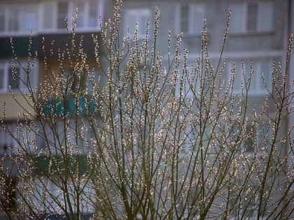 В Тульскую область придет хорошо прогретый воздух из южных широт