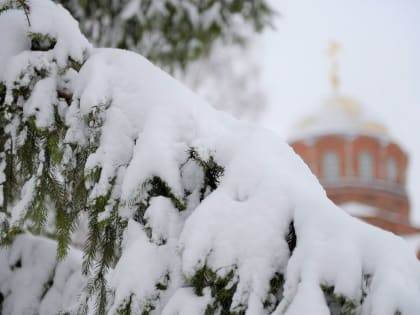 Прогноз погоды в Туле на 23 января