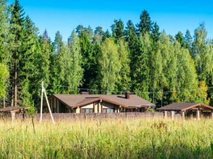 МЧС предложило увеличить расстояние от населённых пунктов до зелёных насаждений